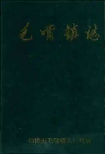 毛嘴镇志