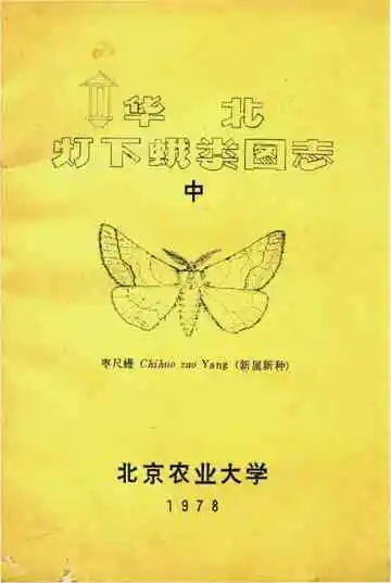 华北灯下娥类图志（中）