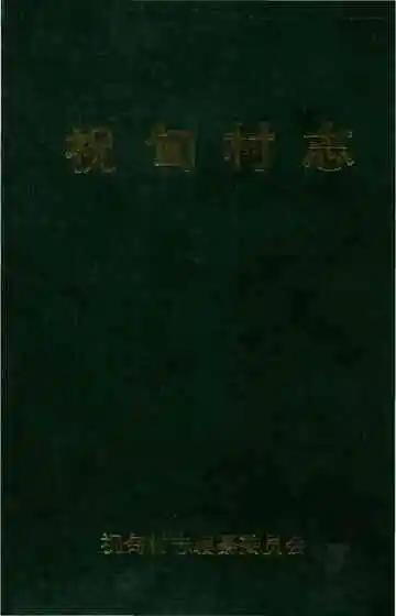驻甸村志