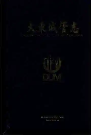 大东城管志