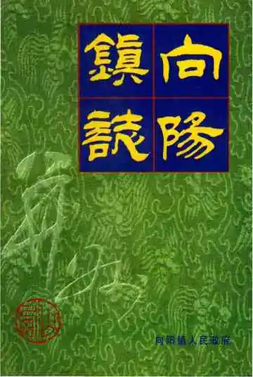 向阳镇志