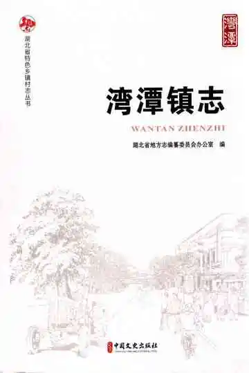 湾潭镇志