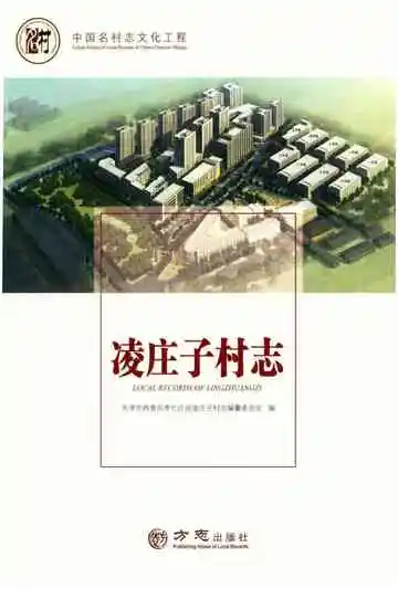 凌庄子村志