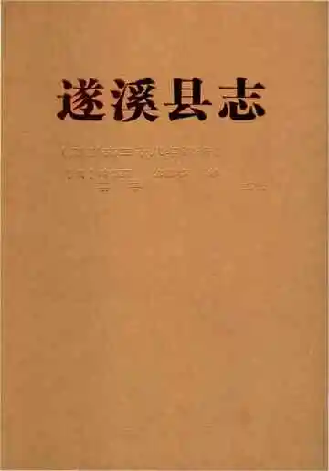 遂溪县志 清道光二十八年续修 点校本