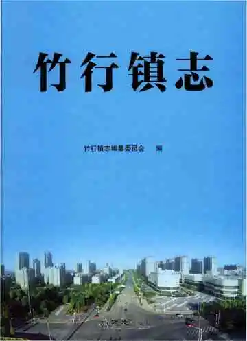 竹行镇志