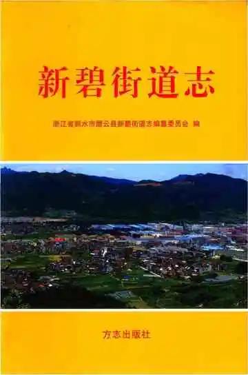 新碧街道志
