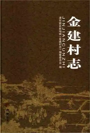 金建村志