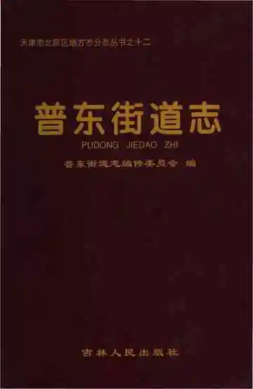 普东街道志