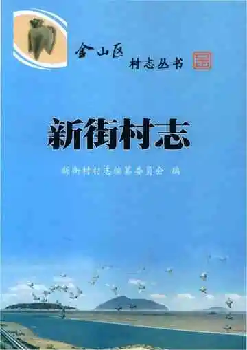 新街村志
