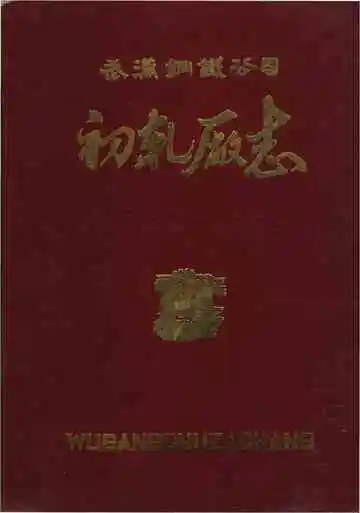 武汉钢铁公司初轧厂志