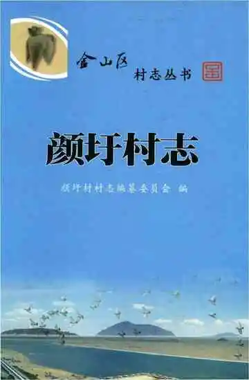 颜圩村志