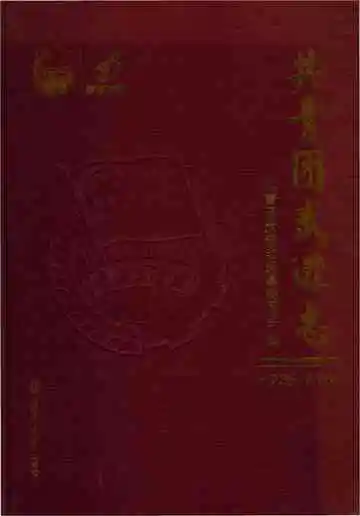 共青团武进志
