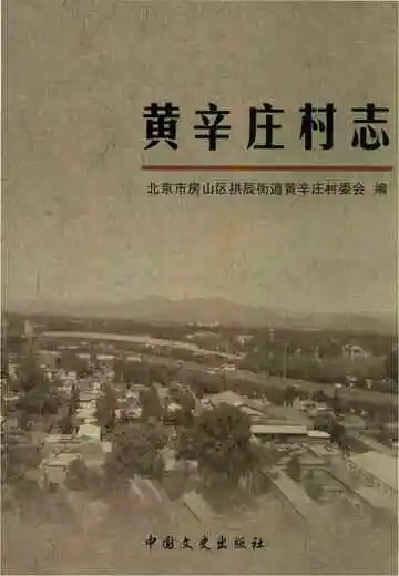 黄辛庄村志