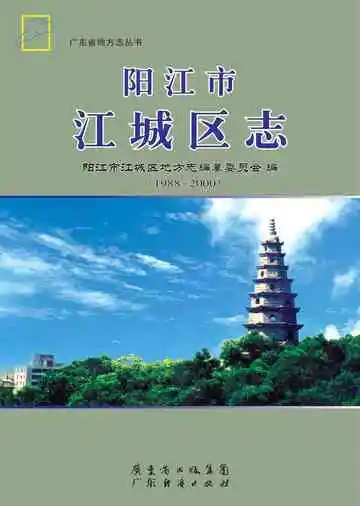 江城区志