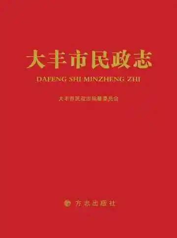 大丰市民政志