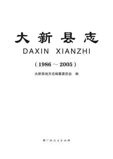 大新县志 1986-2005