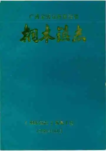 《金秀桐木镇志》封面
