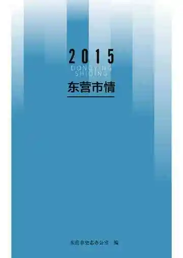东营市情2015