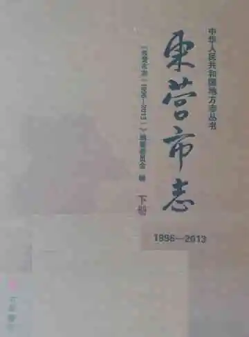 东营市志（1996-2013）下册