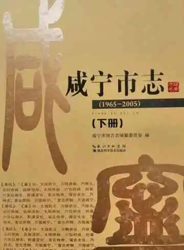 咸宁市志（1965-2005）下册