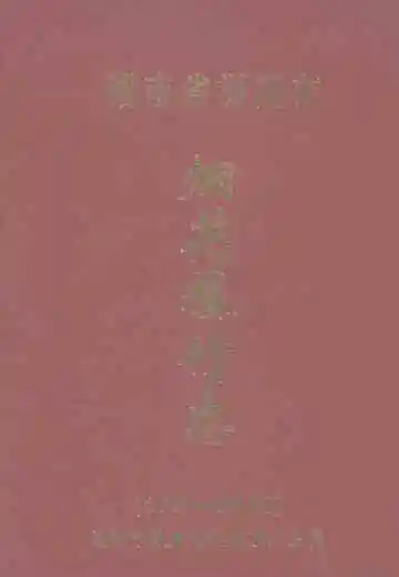 湖南省浏阳市烟花爆竹志1988-2004