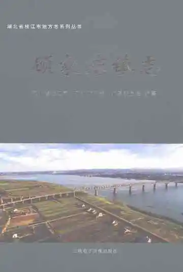 顾家店镇志