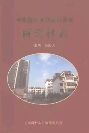 南岗村志