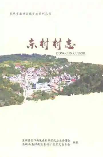 东村村志
