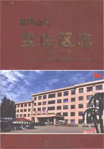 双鸭山市宝山区市1985-2005