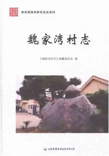 魏家湾村志