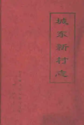 城东新村志