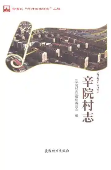 辛院村志