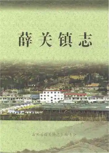 薛关镇志