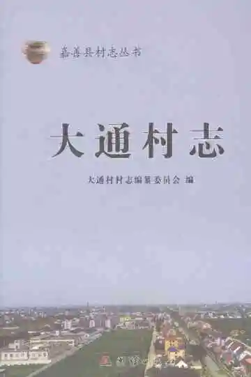 大通村志