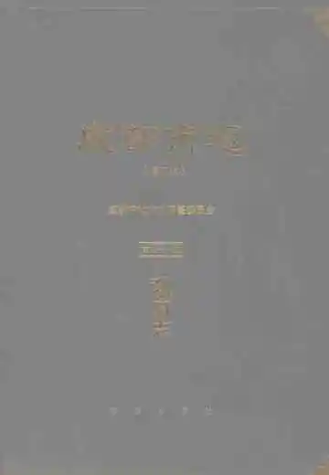 成都市志（修订本）第三十一册：政府志