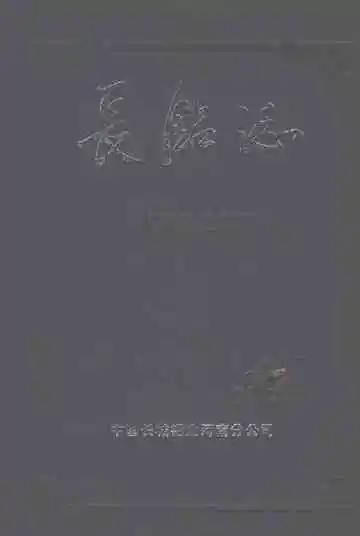 长铝志