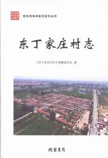东丁家庄村志