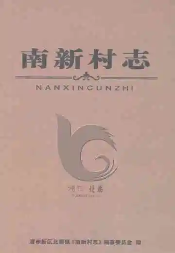 南新村志