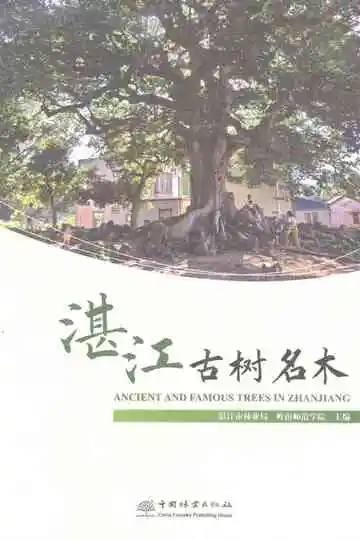 湛江古树名木