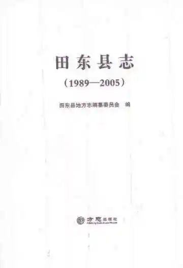 田东县志（1989-2005）
