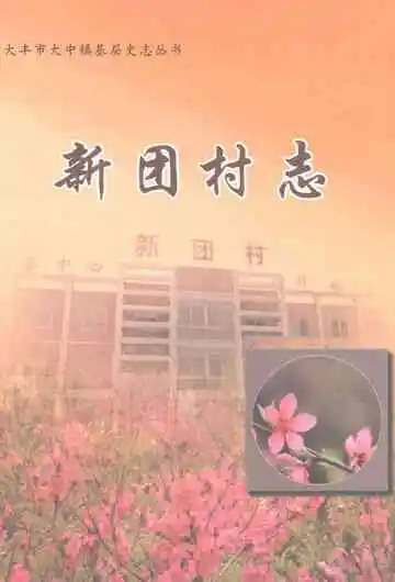 新团村志
