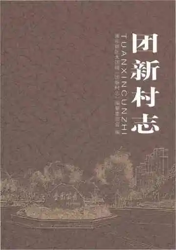 团新村志