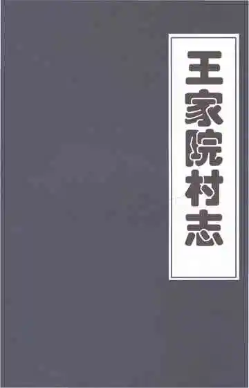 王家院村志