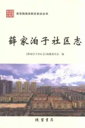 薛家泊子社区志