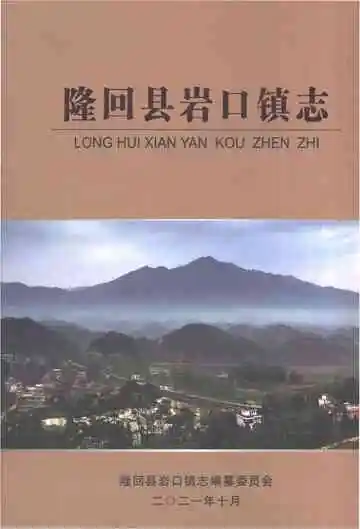 隆回县岩口镇志