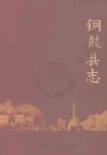 铜鼓县志（下册）