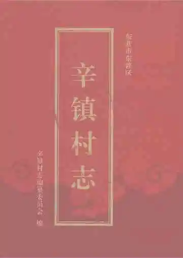 辛镇村志