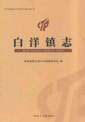 白洋镇志