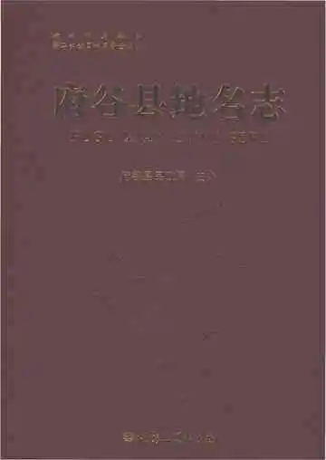 府谷县地名志