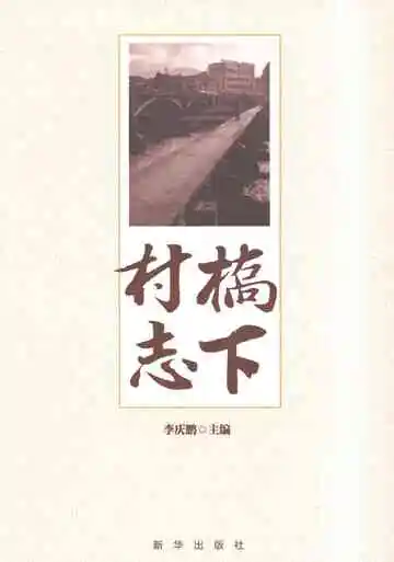 桥下村志